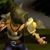 Sean Dimmack's profile image