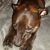 David Andresen's profile image