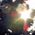 Neal Lee Weilacher's profile image
