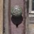 Annette Anderson Apfel's profile image