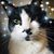 Laura Lenahan's profile image