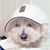 Fernando Araujo's profile image
