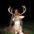 David Dixon's profile image