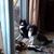 Nancy G Prince's profile image