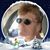 Carrie Jensen's profile image