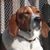 Marylyn Lynch Kebrich's profile image