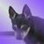 Donna Hurst's profile image