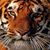 Michael Edens's profile image