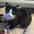 Jeanne P Taylor's profile image