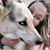 Meagan Warne's profile image