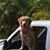 Alexis Rouviere's profile image