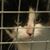 Mary Kay Gentert's profile image