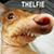 Timothy Tuttle's profile image