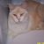 Peg Krause's profile image
