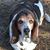 Lisa K. Lugar's profile image
