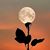 Khadija Minhal's profile image