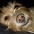 Jill Kaiponen's profile image