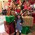 Sandy Crenshaw's profile image