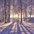 Jennifer Germain Tombolillo's profile image