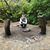 Marianne Beran Terrell's profile image