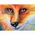 Tom Schmuck's profile image