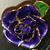 Kerry Setzer's profile image