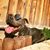 Quetimporta Calletana De Bunbury's profile image