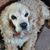 Anita Countryman-Brunner's profile image