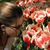 Maëlle Unfer's profile image