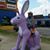Sharon T.'s profile image