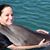 Mary Torchia's profile image