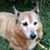 Maureen Staats Morlath's profile image