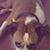 Rj Swist's profile image
