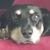 Mark Yancey's profile image