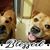 Gregory C Saenz's profile image
