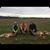 Mitchell Haese's profile image