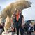 Michelle McComb's profile image