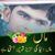Syed Ibrahim Naqvi's profile image