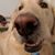 Leanna Neatherlin Allen's profile image