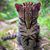 Kelly Gensman-Caffey's profile image