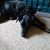 Rhonda Criddle's profile image