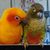 Patricia Kelly Huey's profile image
