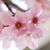 彭麗's profile image