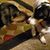 Donna Huff Adams's profile image