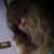 Jackie Shomper's profile image