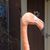 Maria Wilson's profile image