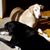 Terry Blocher's profile image