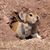 Andy Cozad's profile image