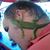 Brando M Nebauer's profile image