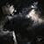 Sean Tyler Kostelecky's profile image